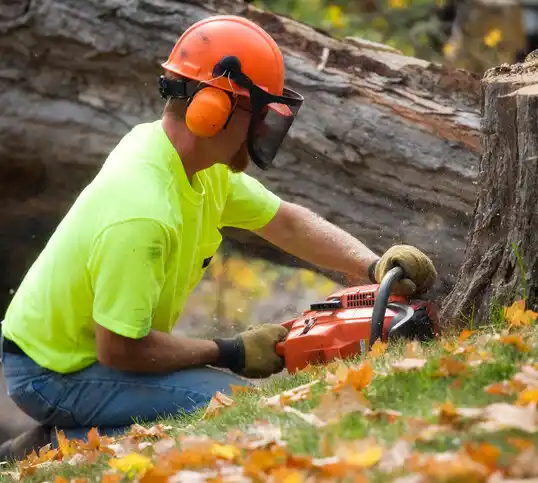 tree services Zena